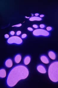 Photo 4 from Super Neon: A Feel-Good Immersive Experience