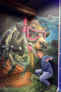 Photo 9 from Highlights of Holland