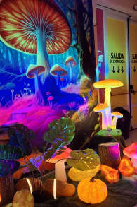 Photo 7 from LOVE UP! - Mar del Plata