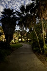 Photo 6 from NightGarden - Miami