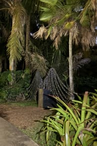 Photo 8 from NightGarden - Miami