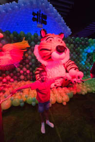 Photo 0 from Balloon Story - Melbourne