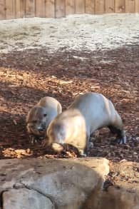 Photo 0 from Parrot World : pass annuel billets