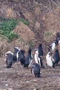 Photo 3 from Parrot World : pass annuel billets