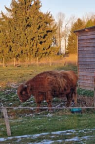 Photo 4 from Parrot World : pass annuel billets