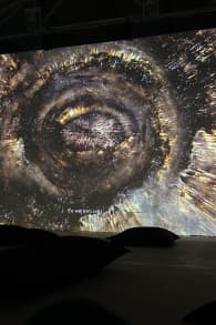 Photo 0 from ORIGINS - eine immersive Reise zum Ursprung des Lebens