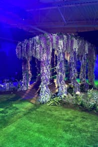 Photo 0 from Monet: The Immersive Experience