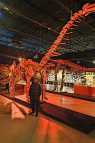 Photo 4 from DinoVerse Atlanta