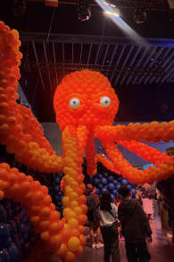 Photo 15 from Balloon Story - Melbourne