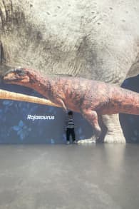 Photo 0 from Ein Planet vor unserer Zeit: Dinosaurier – Das immersive Erlebnis