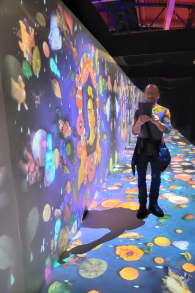 Photo 16 from Viva Frida Kahlo - das immersive Erlebnis