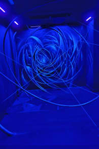 Photo 4 from Exposición de arte callejero París - Zoo Art Show