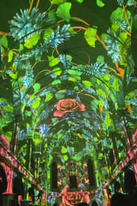 Photo 2 from Eonarium Genesis: immersyjny pokaz świetlny