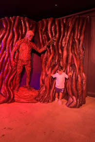 Photo 7 from Stranger Things: The Experience