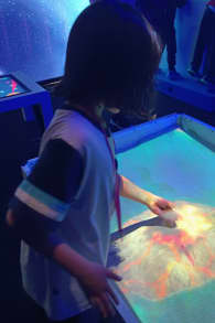 Photo 5 from Chaos Lab - Madrid