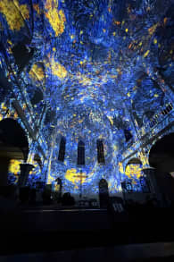 Photo 8 from Eonarium Genesis: immersyjny pokaz świetlny