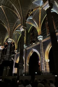 Photo 5 from LUMINISCENCE : le nouveau spectacle immersif 360° qui illumine la basilique de Nice