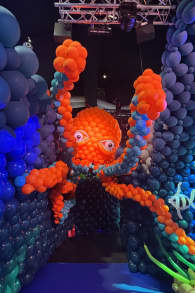 Photo 7 from Balloon Story