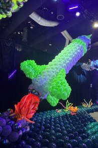 Photo 9 from Balloon Story