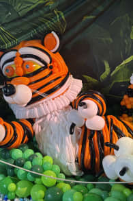 Photo 11 from Balloon Story - Sydney