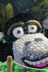 Photo 12 from Balloon Story - Sydney