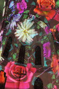 Photo 9 from Eonarium Genesis: immersyjny pokaz świetlny