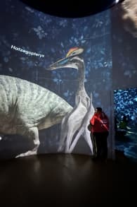 Photo 4 from Planète Préhistorique : Dinosaures, L’expérience immersive à l’Atelier des Lumières