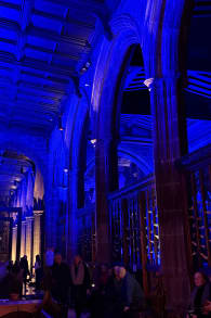 Photo 5 from LUMINISCENCE Manchester: The 360° Immersive Show - UK Premiere