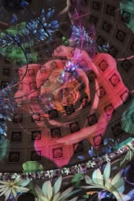 Photo 1 from Eonarium Genesis: An Immersive Light Show