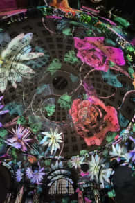 Photo 3 from Eonarium Genesis: An Immersive Light Show