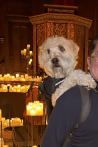 Photo 4 from ﻿Candlelight: Queen & ABBA