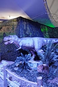 Photo 9 from Dinos Alive: Uma Experiência Imersiva