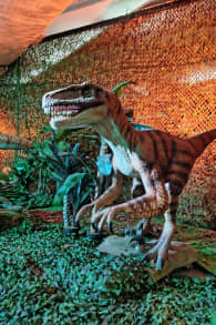 Photo 7 from Dinos Alive: Uma Experiência Imersiva