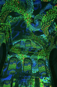 Photo 0 from Nieuw Eonarium Enlightenment: Een Spectaculaire Lichtshow op de tonen van Vivaldi