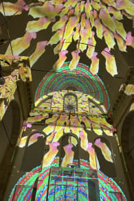 Photo 1 from Nieuw Eonarium Enlightenment: Een Spectaculaire Lichtshow op de tonen van Vivaldi