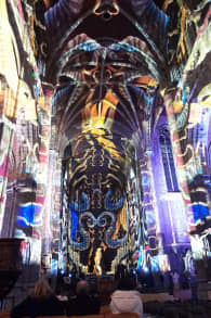 Photo 5 from Genesis, een lichtshow in Luik over het scheppingsverhaal