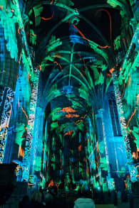 Photo 7 from Genesis, een lichtshow in Luik over het scheppingsverhaal