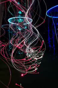 Photo 2 from IKONO Berlin