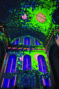 Photo 3 from Nieuw Eonarium Enlightenment: Een Spectaculaire Lichtshow op de tonen van Vivaldi