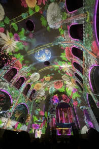 Photo 4 from Genesis, the Creation Story in an Immersive Light Show