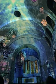 Photo 5 from Genesis, the Creation Story in an Immersive Light Show