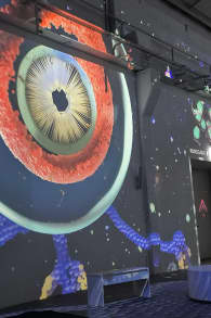 Photo 2 from ORIGINS - eine immersive Reise zum Ursprung des Lebens