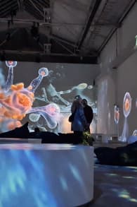 Photo 4 from ORIGINS - eine immersive Reise zum Ursprung des Lebens