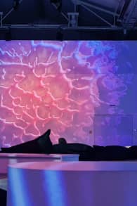 Photo 5 from ORIGINS - eine immersive Reise zum Ursprung des Lebens