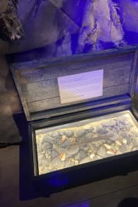 Photo 1 from Vikings, L'odyssée jusqu'aux confins du monde