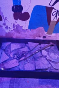 Photo 4 from Mind of a Serial Killer: The Experience