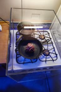 Photo 5 from Mind of a Serial Killer: The Experience