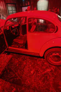 Photo 6 from Mind of a Serial Killer: The Experience