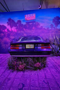 Photo 8 from Mind of a Serial Killer: The Experience