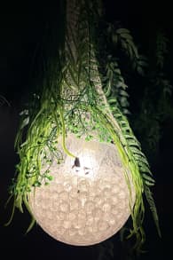 Photo 7 from IKONO Madrid